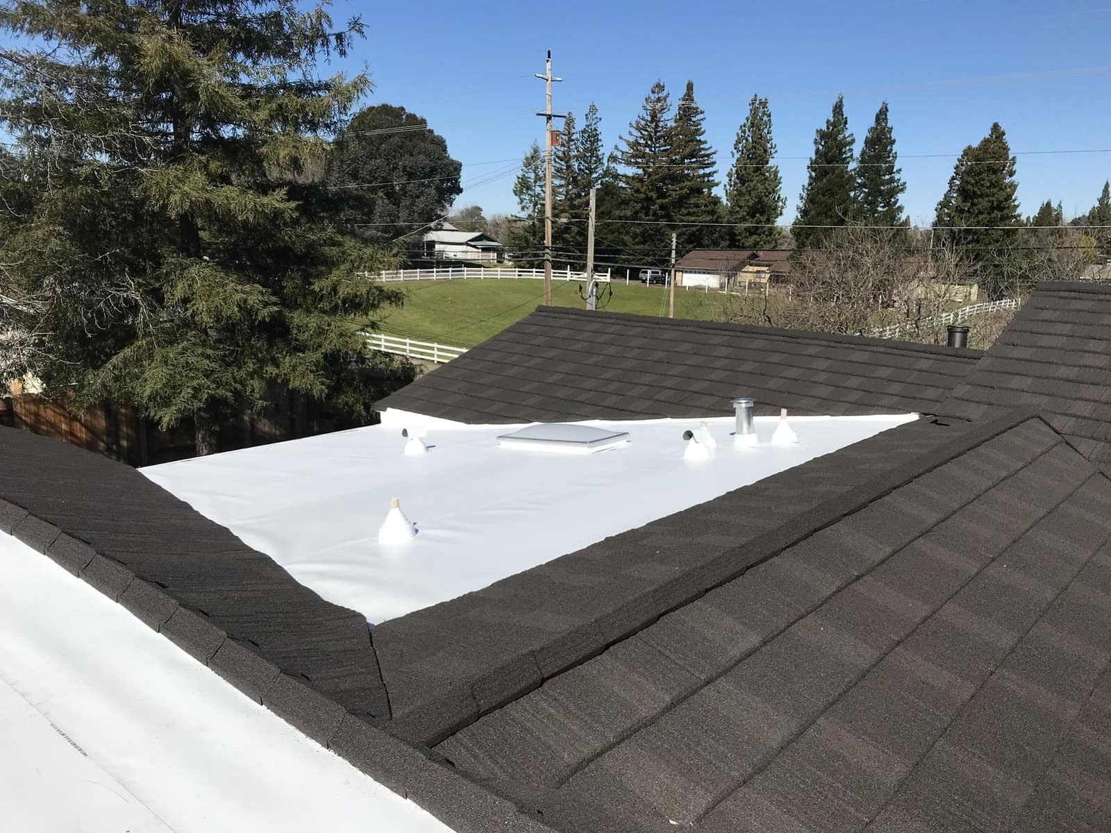 Veterinary Clinic Roofing in Providence, RI